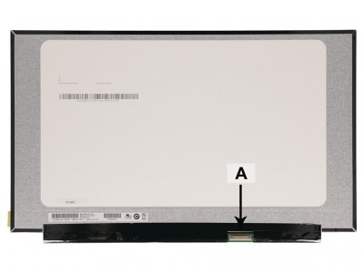Laptop Skärm 15.6 tum WUXGA 1920x1080 Full HD IPS Matte (GJV1W)